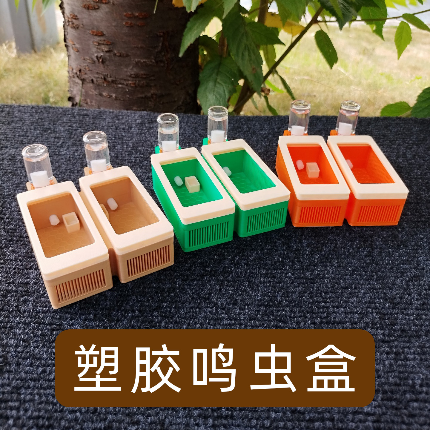 双格鸣虫盒攀爬底竹蛉饲养盒