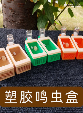 双格鸣虫盒攀爬底竹蛉饲养盒