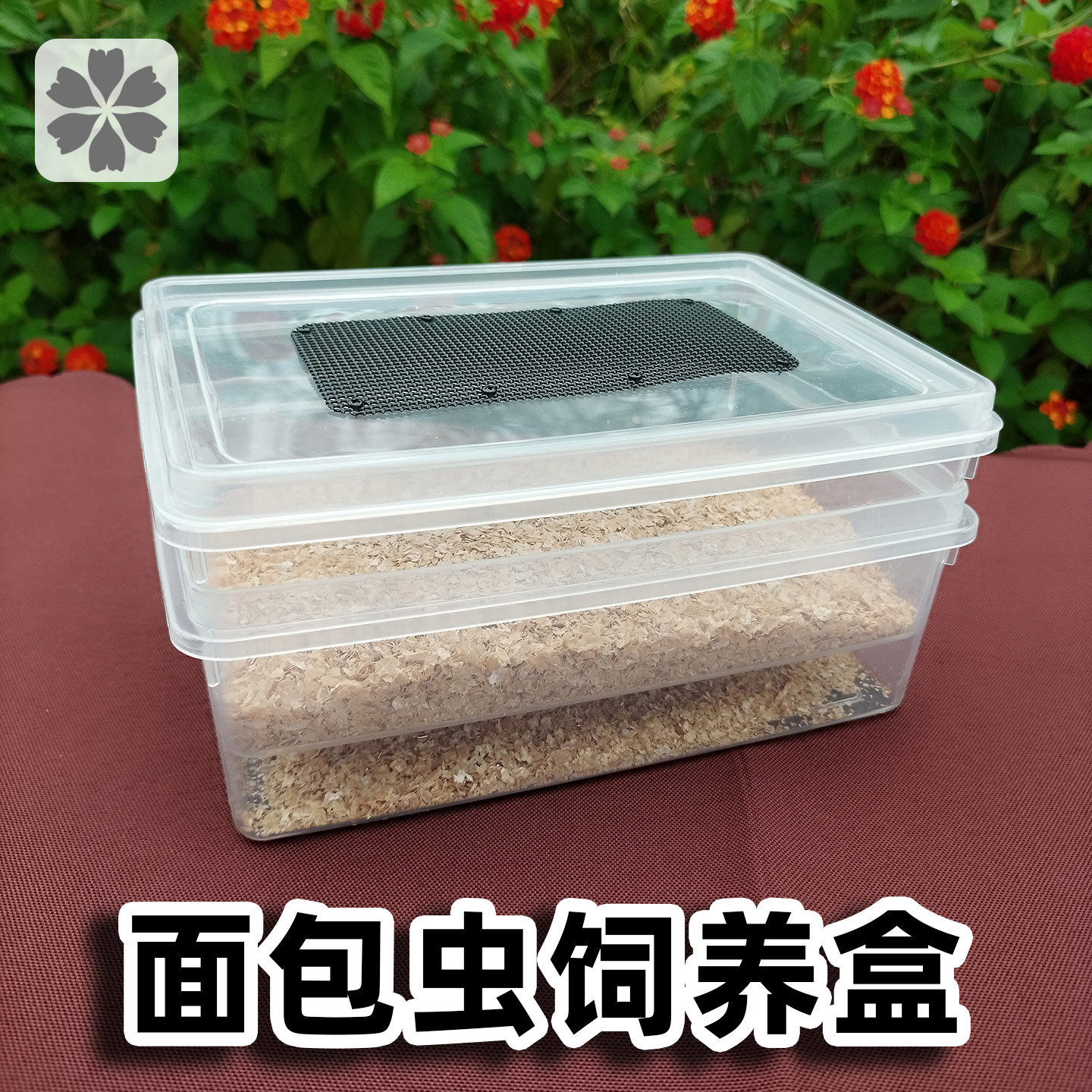 面包虫滤屎饲养箱防臭防潮黄粉虫饲养盒筛选粪便养殖箱透明双层