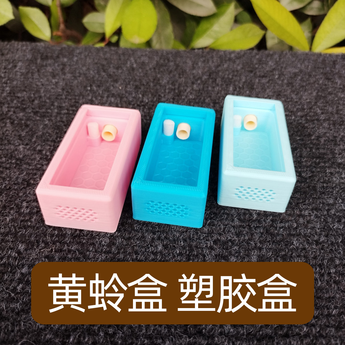 小黄蛉专用盒鸣虫饲养盒塑料虫具大黄蛉盒蛉子蛉虫盒加湿器保湿