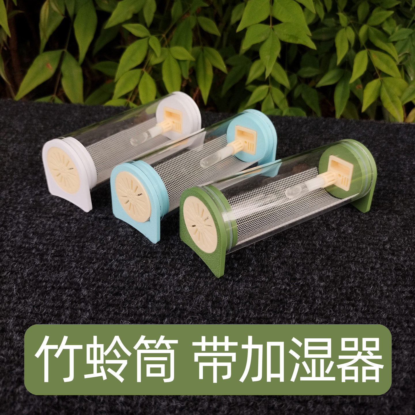 亚克力竹蛉筒带食槽新款竹蛉罐