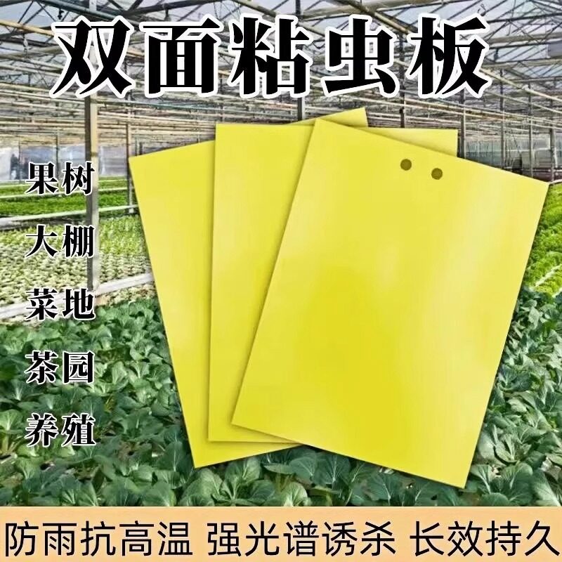 双面特粘黄蓝诱虫板果园茶园大棚