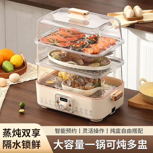 2025新款电炖锅煲汤隔水炖家用炖盅煮粥炖燕窝陶瓷全自动婴儿辅食