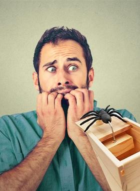Halloween Rubber Spider Prank Wooden Box Toys for Kids False