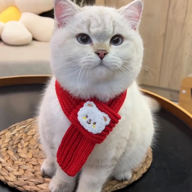猫咪新年围巾围兜小猫用品