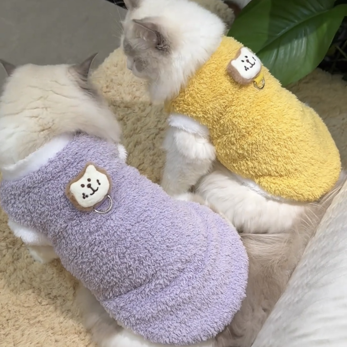 猫咪衣服秋冬装加绒保暖绒衣布偶猫金渐层蓝猫英短宠物猫猫家居服