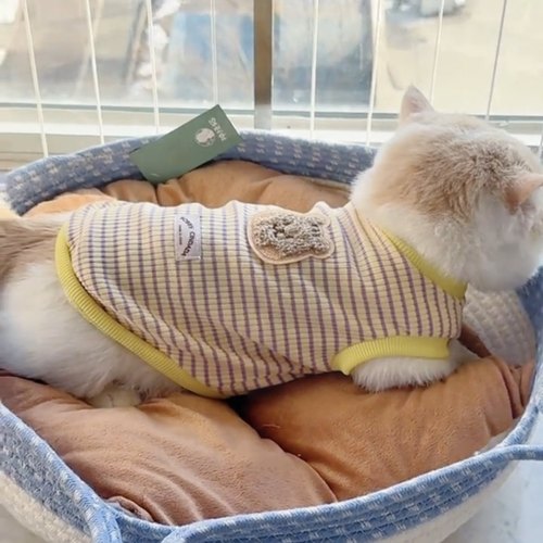 猫咪衣服春秋款打底衫可爱韩版金渐层布偶猫蓝猫英短矮脚宠物秋装