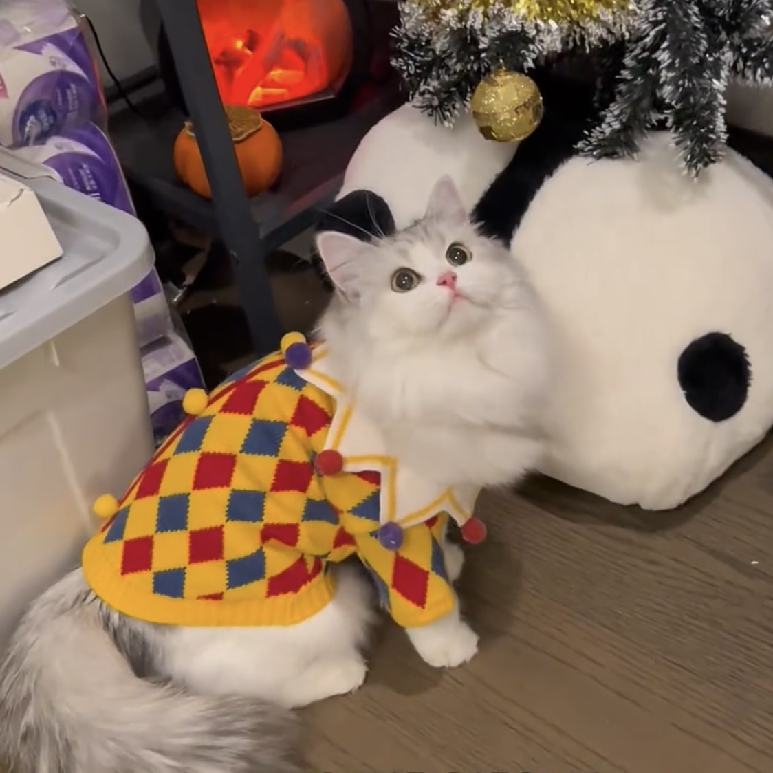 猫咪防掉毛衣服春秋款布偶猫蓝猫英短金渐层宠物狗狗秋天可爱毛衣