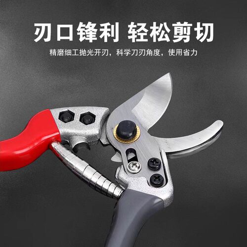 修枝剪加厚优质树枝剪园艺花枝剪果树剪枝专用果枝花艺剪刀