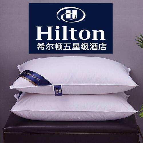Healthy sleepy pillows down velvet hotel bed pillow成人枕头
