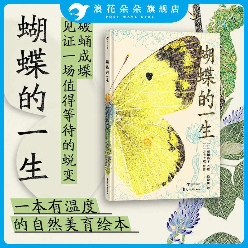 浪花朵朵正版 蝴蝶的一生 蝴蝶的蜕变过程 带孩子感受生命之美 昆虫科普绘本图画故事