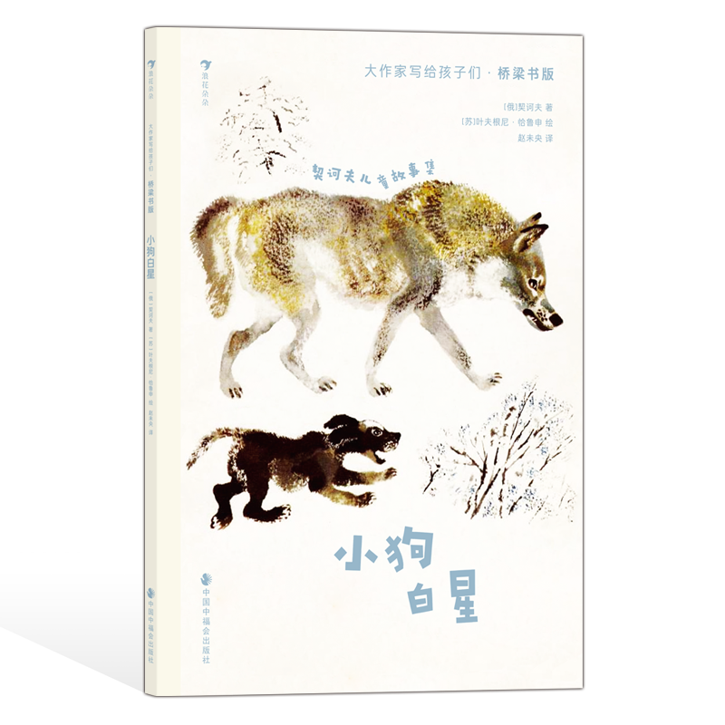 浪花朵朵大作家写给孩子们桥梁书