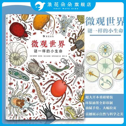 后浪旗下童书品牌