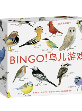 浪花朵朵童书官方正版 宾果系列  BINGO鸟儿游戏 3到6岁儿童读物教辅益智启蒙 互动智力开发 探索与发现书籍