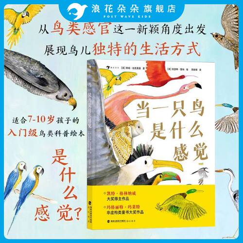 浪花朵朵如果你像喷泉一样哭泣