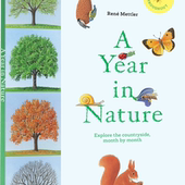 英文原版 浪花 Nature 书籍 进口英文原版 Year 大自然一年