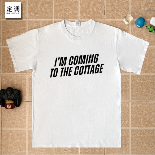 COMING TO THE COTTAGE 巅峰对决 heated rivalry ilya同款T恤男