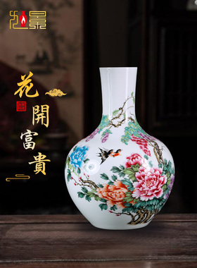景德镇陶瓷花瓶插花中式客厅入口电视柜装饰落地式大瓷瓶摆件