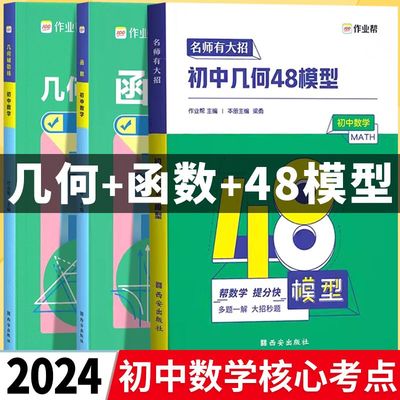 初中几何48模型+几何辅助线+函数转型训练挑战压轴题七八九年级数学专项练习初一初二初三复习资料中考必刷题型真题试卷