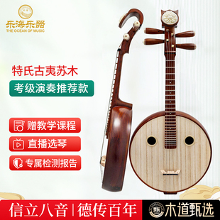 乐海 中阮乐器考级演奏特氏古夷苏木材质钢品花开富贵头饰513