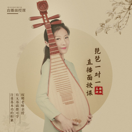 权老师面对面教学课程琵琶私教课