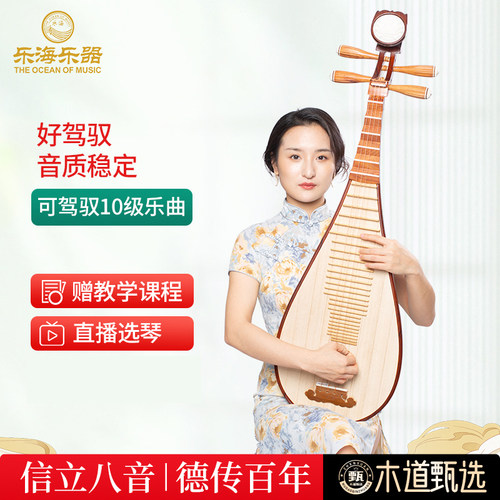 乐海 琵琶乐器考级演奏奥氏黄檀木材质木轴木相酸枝木琵琶914 - 封面