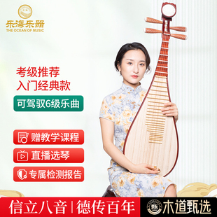 乐海 琵琶乐器非洲紫檀木材质原木色入门考级琵琶精典款912-2