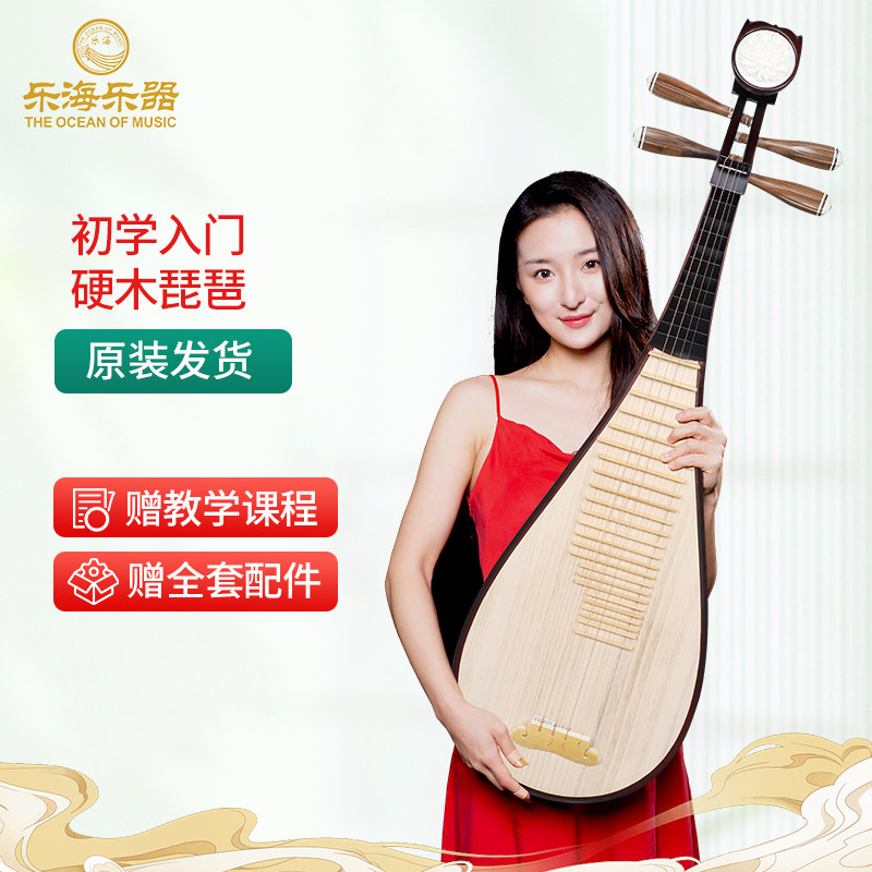 乐海琵琶乐器初学者入门练习硬木材质竹品素面花开富贵头饰DJ11-1