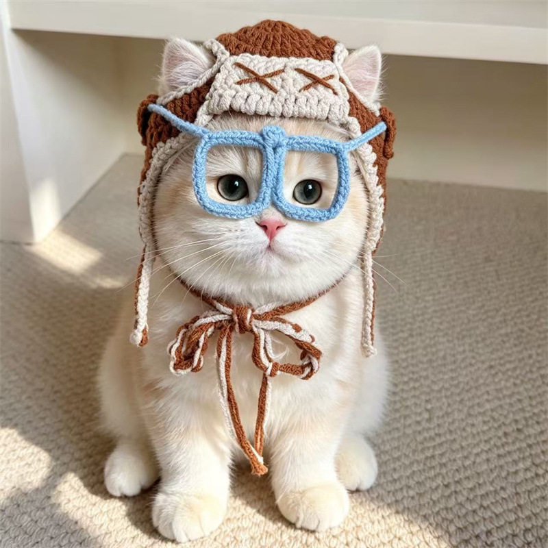 猫咪狗狗针织帽子眼镜宠物飞行帽手工编织泰迪比熊布偶变装饰品