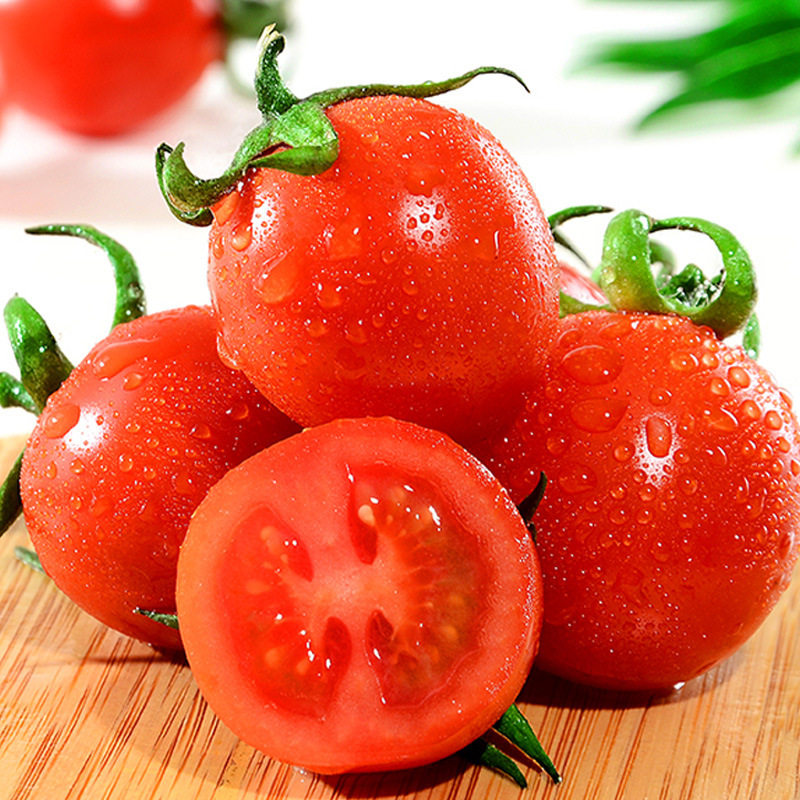 山东千禧圣女果 代发5斤新鲜应季生吃小红果迷你番茄小西红柿子