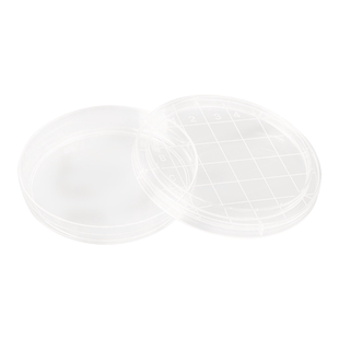 塑料培养皿 35/60/70/90/100/120/150mm 加厚 方形 高型 整箱价 一次性培养皿