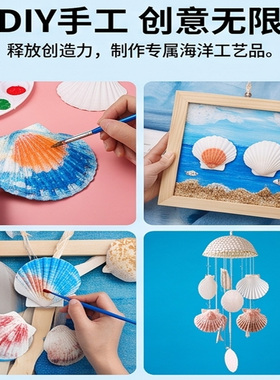 天然白色大扇贝壳DIY彩绘手工