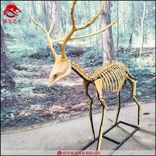 麋鹿羚羊马三趾马动物骨头标本仿真生物树脂骨架复原模型定做