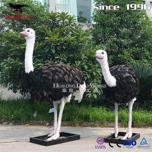 自贡大型仿真动物工厂鸵鸟塑性逼真亲子乐园动物园互动模型摆件