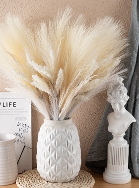 工艺品芦苇花束仿真花厂家假花绿植物装饰INS风MW85101包邮