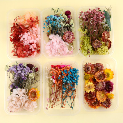 永生干花盒儿童diy手工花装饰材料包混装天然真花相框团扇贺卡