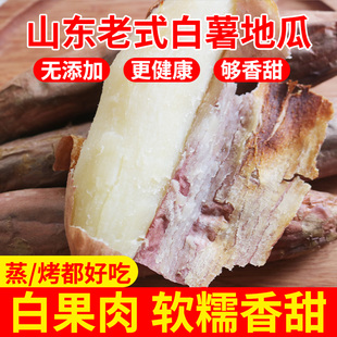 山东老式地瓜白心瓤红薯牛奶板栗薯白玉蜜薯整箱当季现挖自家沙地