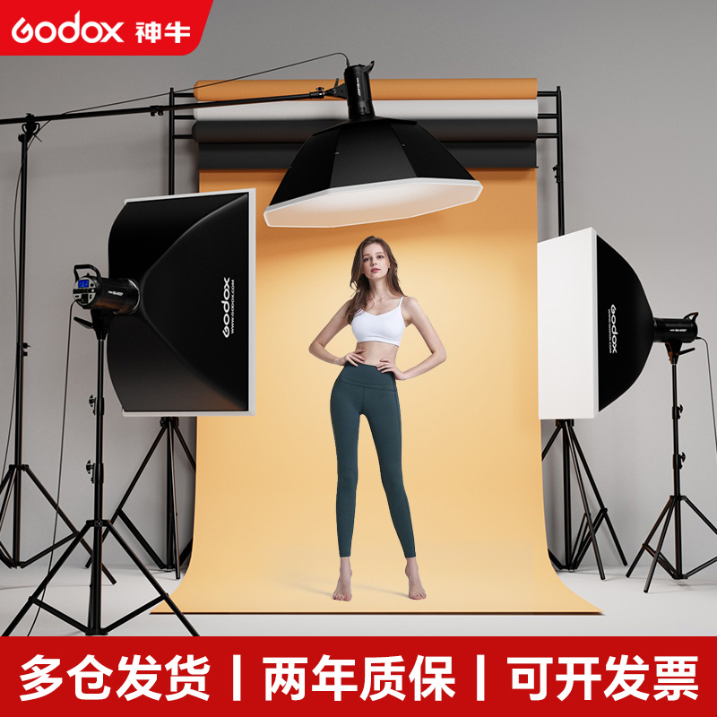 godox神牛sk400W ii二代闪光灯400W摄影棚补光灯专业人像灯静物灯服装模特拍照打光灯影棚灯套装影棚器材