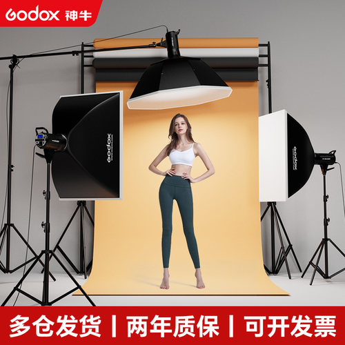 (升级二代)godox神牛sk400W ii二代闪光灯400W摄影棚补光灯专业人