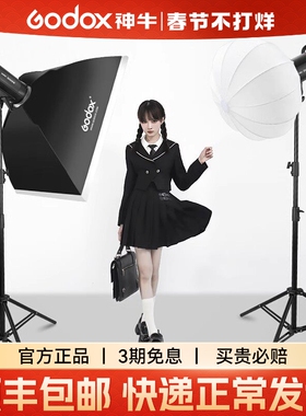 Godox神牛SK300IIIV四代影棚闪光灯室内拍照影室灯静物拍摄人像SK400四代摄影灯拍照影室灯美食拍摄证件照