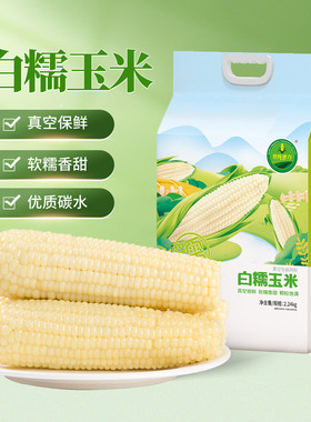 世际德力北方白糯玉米真空锁鲜粘苞米棒低脂粗粮4.48斤