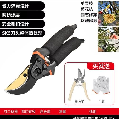 剪刀园艺剪枝修枝剪粗枝剪园林花剪果树I修剪树枝专用省力剪切工