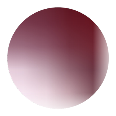 养蚕长桑苗无籽大十果桑树苗桑葚苗桑树苗黑桑苗庭院果树