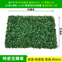 40x60 Peerd Douban Grass/Slim