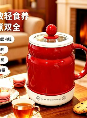 万利达车家两用电炖杯恒温烧水
