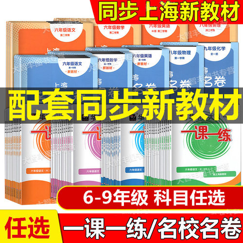 华师大一课一练+名校名卷6-9年级