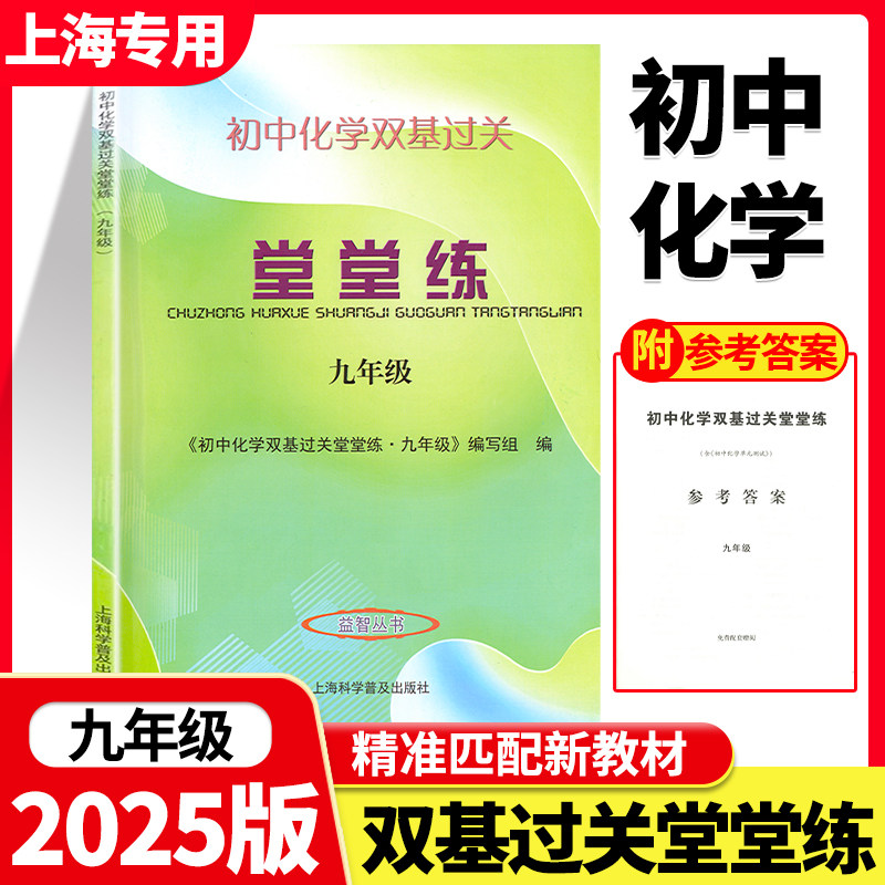 2026新版初中化学双基过关