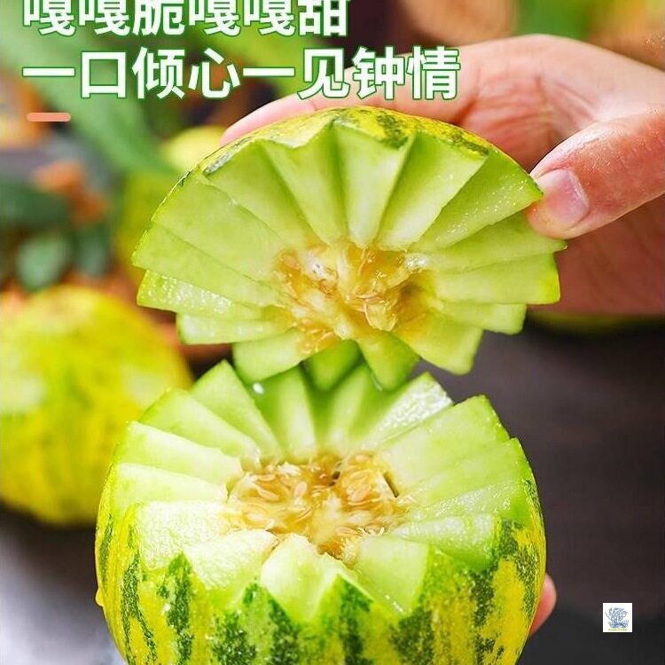 现货八里香花姑娘香瓜新鲜现摘整箱包邮应季时令孕妇水果花蕾甜瓜