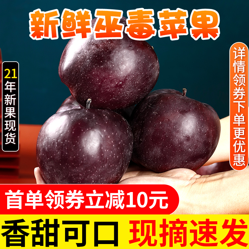 新鲜花牛黑卡冰糖心苹果高级精品水果当季整箱包邮超大蛇果丑脆甜