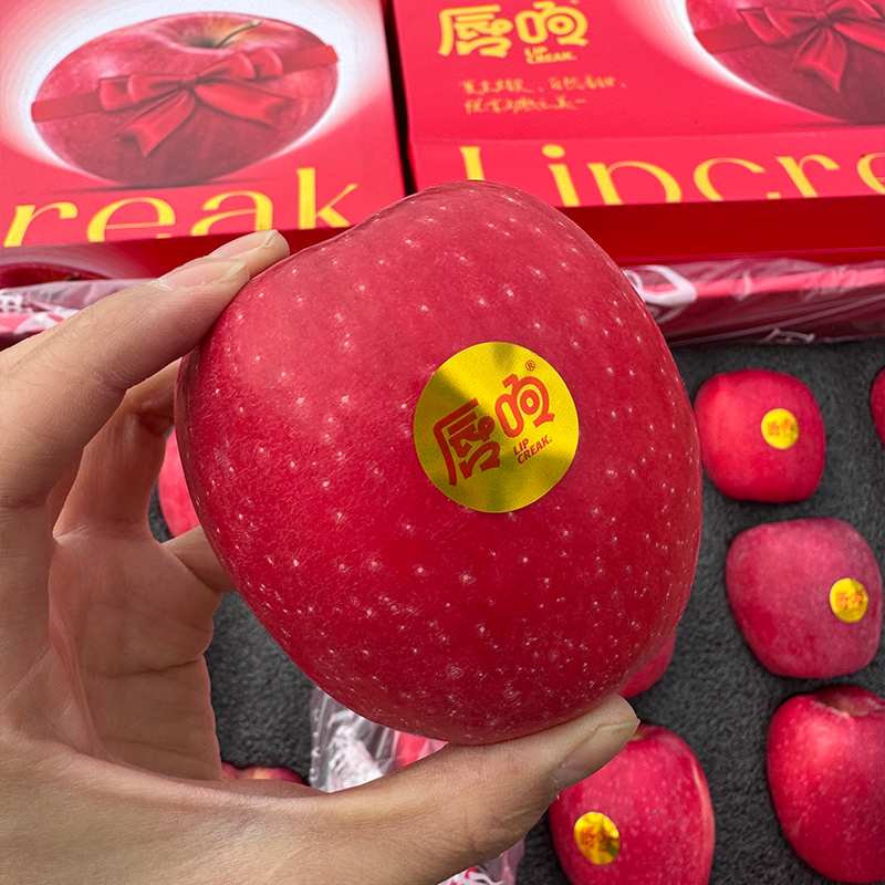 顺丰包邮甘肃庆阳唇响瑞香红特色苹果高端手提礼盒新鲜水果送礼,水产肉类/新鲜蔬果/熟食,苹果,淘宝优惠券,粉丝福利购,淘宝优惠卷
